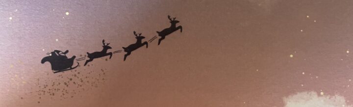 Merry Christmas❗️